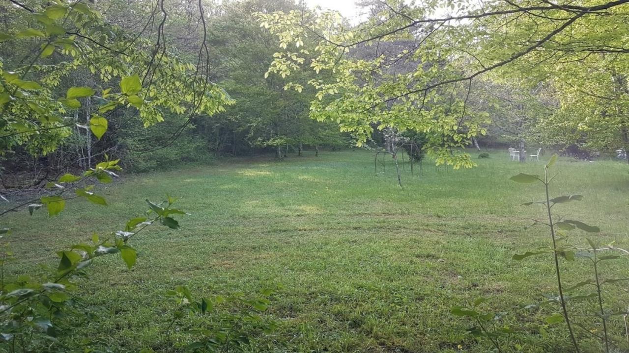 Lovely 2-Bed Shepherds Hut In A Forest Sougeres-en-Puisaye Zewnętrze zdjęcie